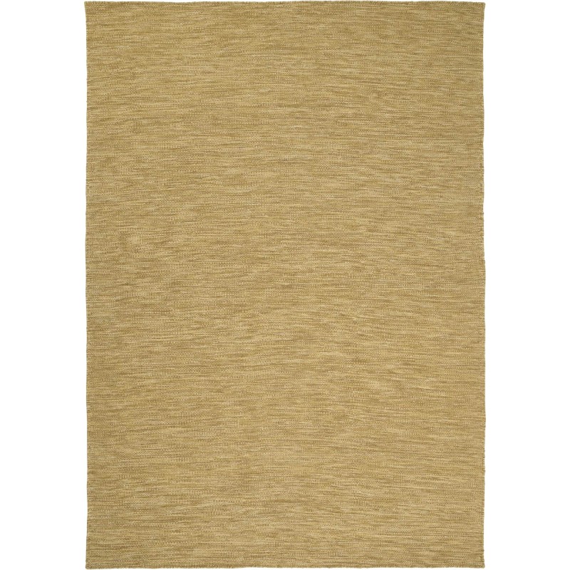 Regatta ochre