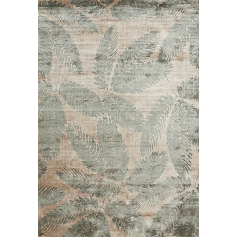 Ambrosia leaf
