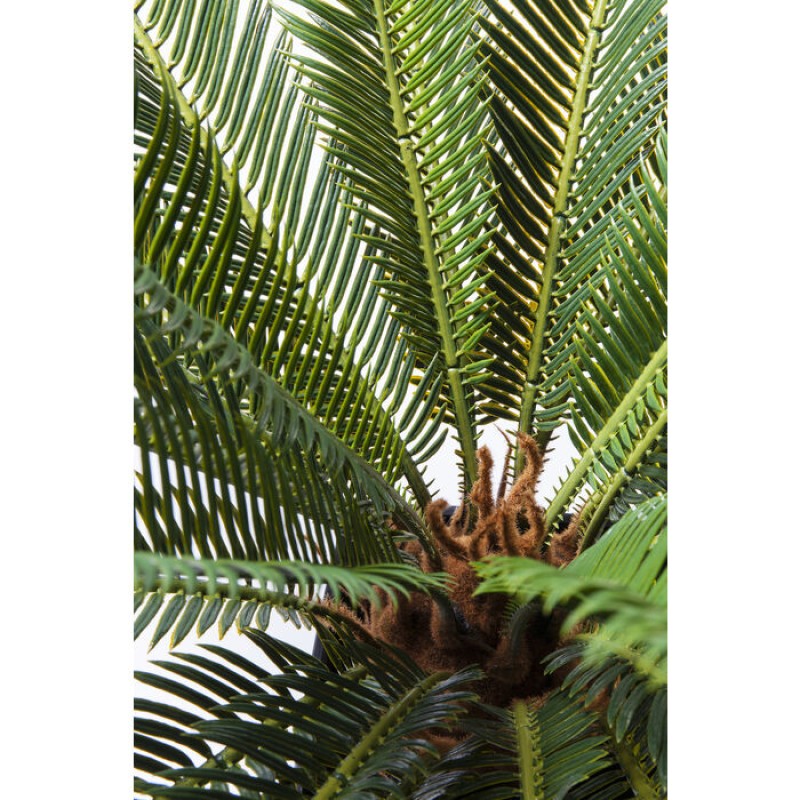 Декоративна рослина Cycas Tree 78cm