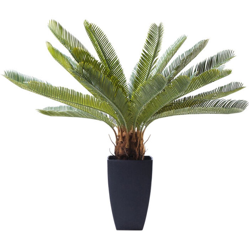 Декоративна рослина Cycas Tree 78cm