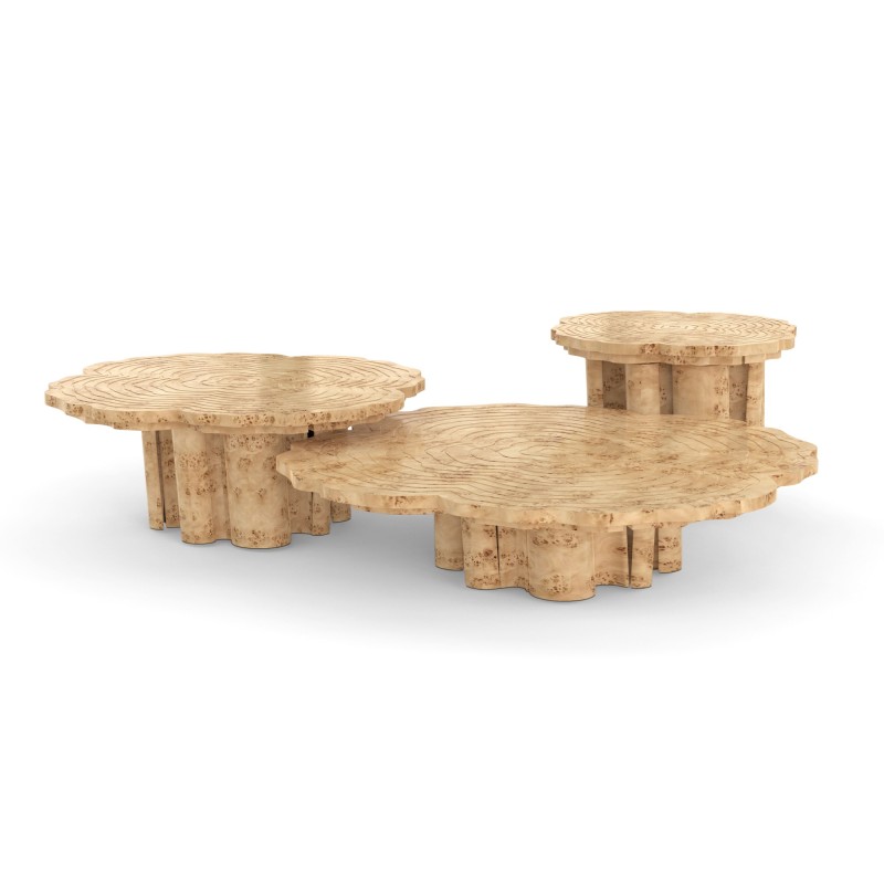 FORTUNA POPLAR ROOT CENTER TABLE