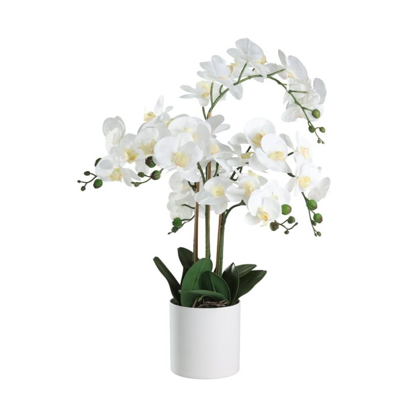 ORCHIDEE IM TOPF Ø500 H-650 WEISS