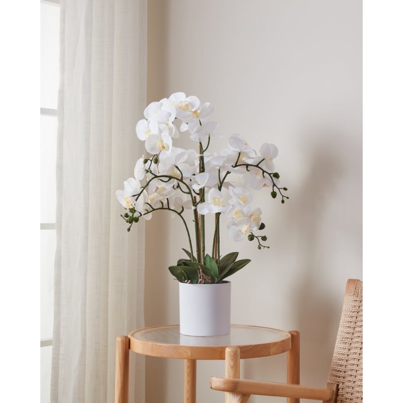 ORCHIDEE IM TOPF Ø500 H-650 WEISS