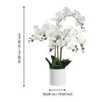 ORCHIDEE IM TOPF Ø500 H-650 WEISS slide 2